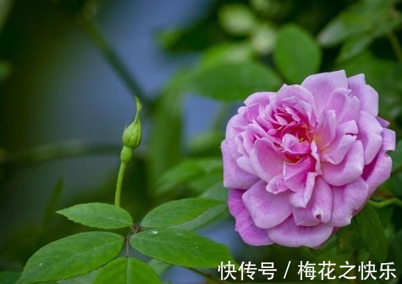 |开心笑话：离老子远点，老子是有家室的人