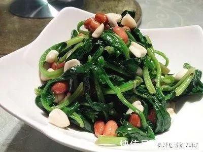 泡椒|23款菜肴推荐，用心整理真心分享，做法详细一学就会，值得尝试