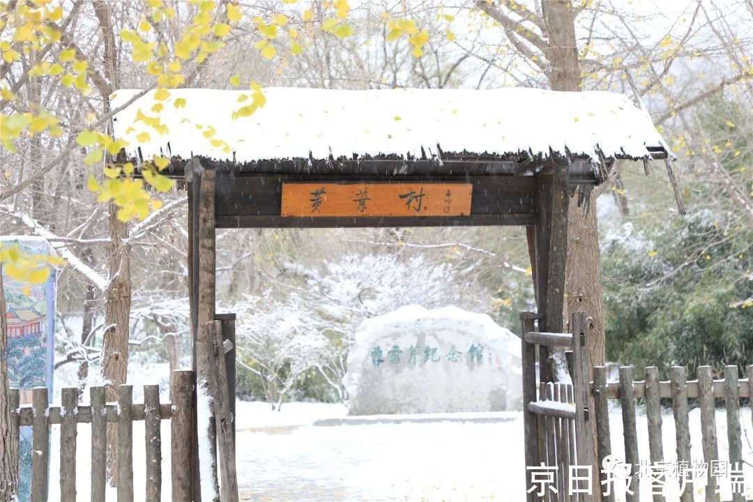 美景|立冬恰逢初雪，北京号带您“云”赏雪后美景