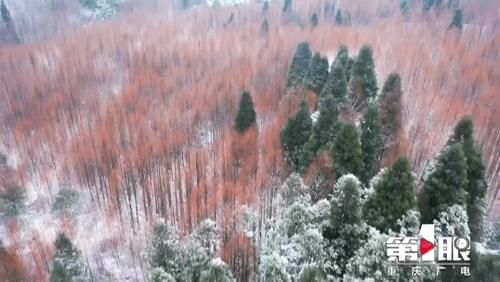 色彩|初雪山王坪：南国林海雪原 四季色彩同聚一山