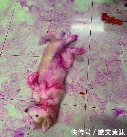 “不懂就问，女孩子的脚上戴这个是什么意思啊”单纯为了看吗