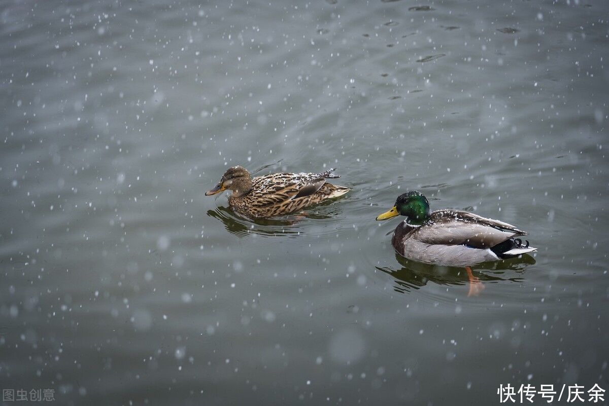 山寺桃花#韩愈很浪漫的一首诗,短短28字,便美得令人心醉