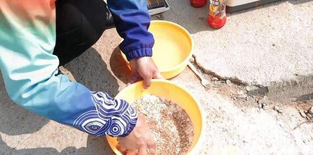 用面粉钓鱼能行吗听听钓老鱼人怎么说