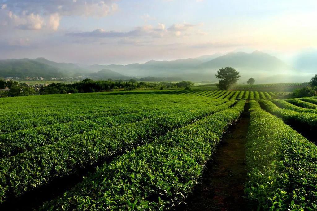 福建省最美休闲乡村——三明清流县南山村