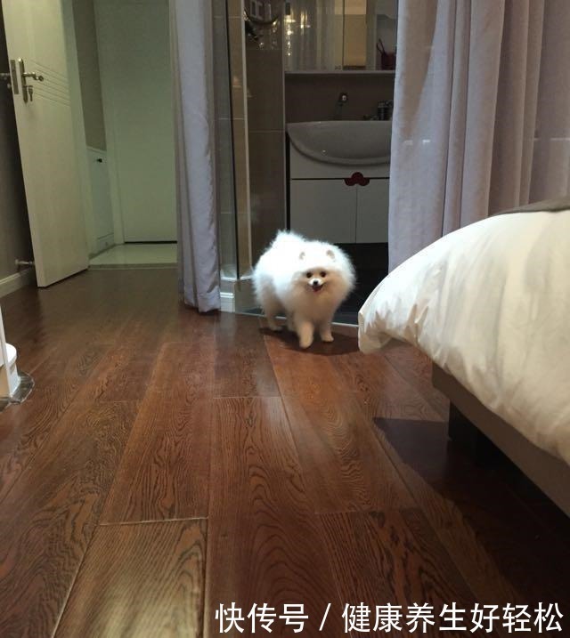 老公|为孩子,老公坚持在厨房砸了个洞,完工才知机智,太实用了!晒晒!