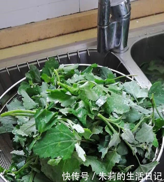 个头|它是菜又是药,路边“补钙库”,钙是鸡肉的7倍,补钙质,长个头