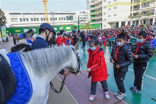 小小骑士进校园，水果湖一小举行马术公开课