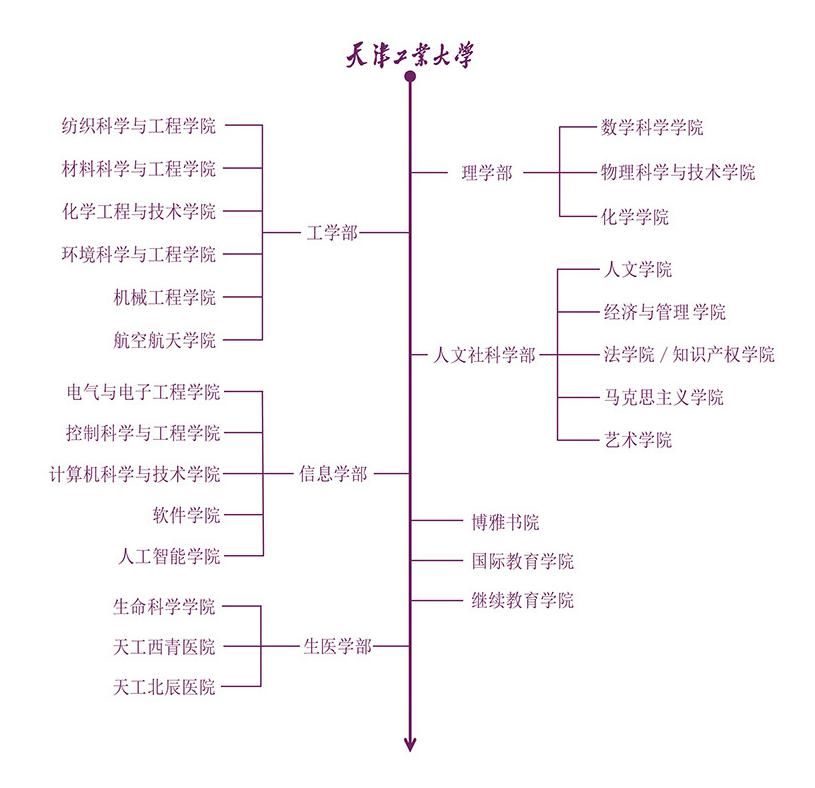 学校推进学部制改革 开启高质量内涵发展新篇章