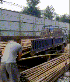 劳动|搞笑GIF：劳动人民的智慧是无穷的