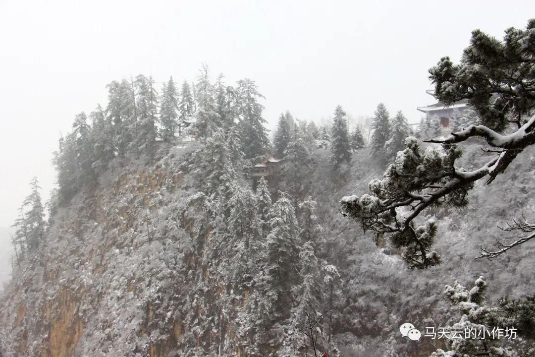 雪落贵清山|图胜千言| 雪落