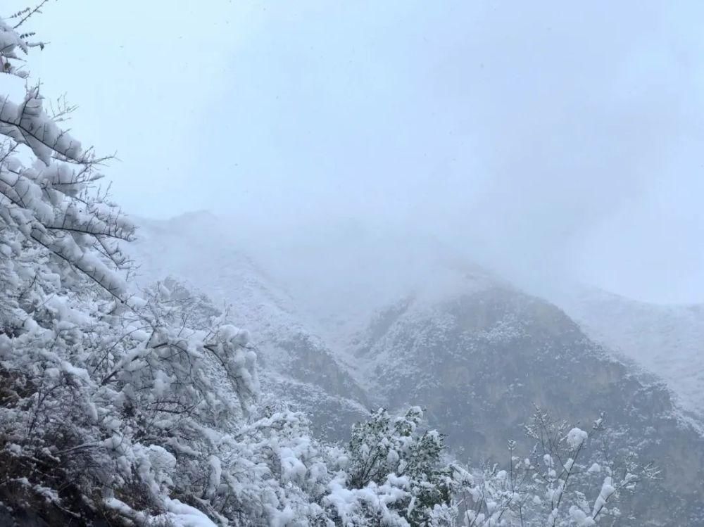 简直|雪中的泾阳，美得简直太...