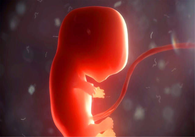 吴梦|43岁“高龄产子”离世的网红，赌命生子值不值是“爱还是自私”