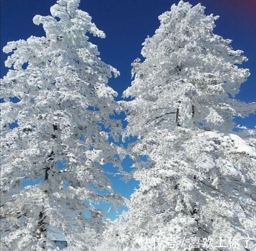 卜算子$瑞雪纷飞满树花,梅花绽蕊万点红(原创首发)