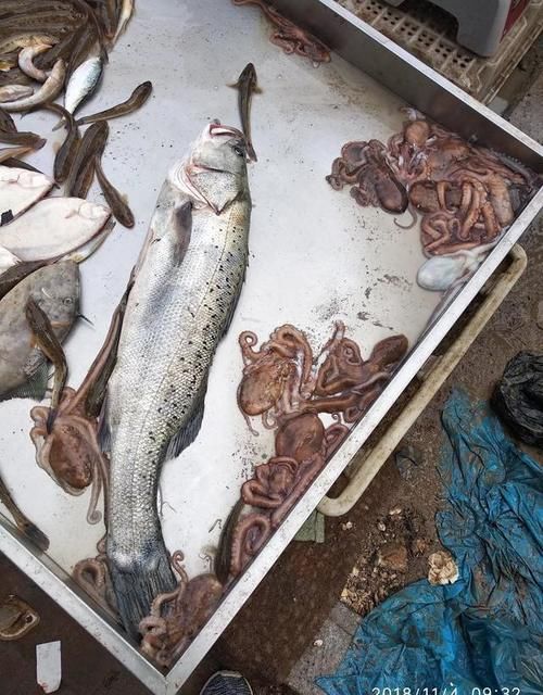 哪里海鲜好吃？