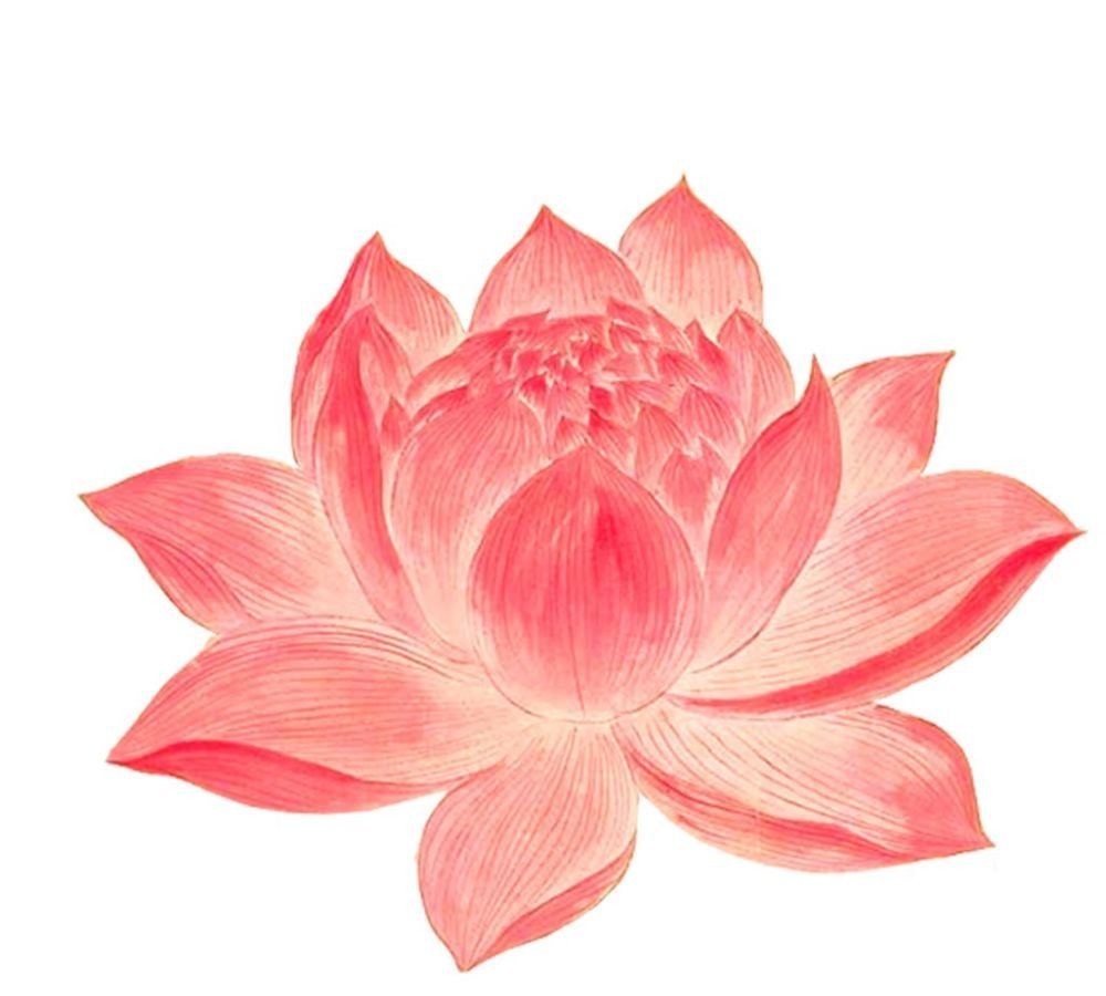 欧洲|刘邦的烦恼:搬家