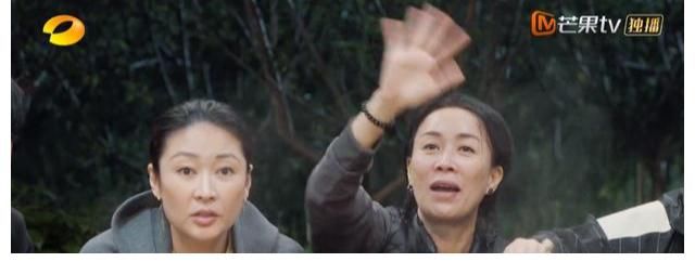 向往的生活|黄磊厨艺“翻车”，那英一句话撕开《向往5》遮羞布，网友大呼被骗