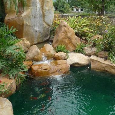 防范|10月，请重点防范5种病