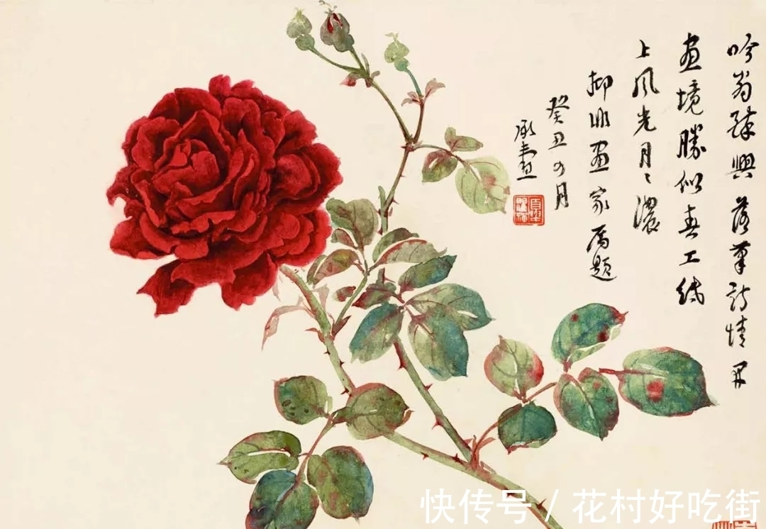 国画家$国画家｜陆抑非的月季花