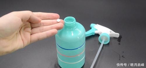 家里有养花的抓紧看看,学会这招,不烂根不生虫,花草越长越茂盛