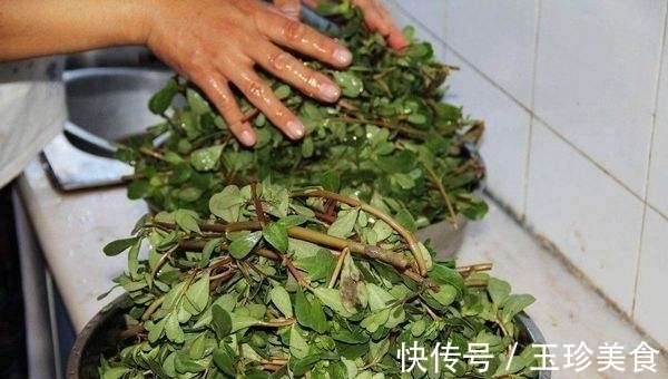 食用|马齿苋煮水喝,有哪些好处?晒干的马齿苋能吃吗?提前告诉你
