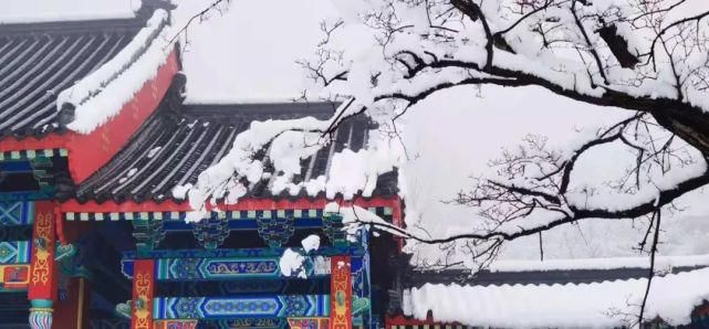 牛年初雪后，这些地方美成了画