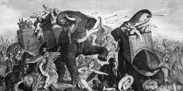 祸首|决胜王牌还是战败祸首古典文明的战争巨兽,战象的黯然退场
