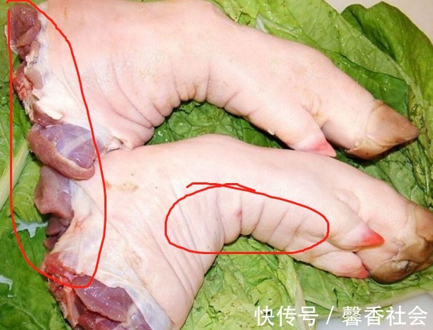 前后猪蹄真假难辨,30年屠宰经验老师傅教你3招,回回挑到好猪蹄