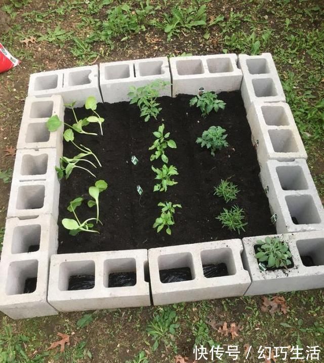 院子|光秃秃院子太浪费,农村老爸用18块空心砖,改造成人见人爱的菜园