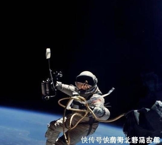 莱卡 致敬太空英雄莱卡，这只世界上首登太空的狗狗，永远的航天丰碑