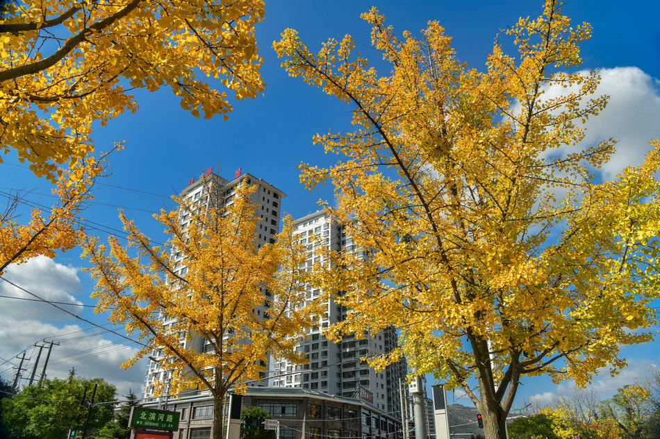 陇南市|秦皇故里（甘肃省陇南市礼县）风景如画?