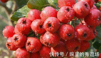 山楂|哺乳期宝妈要少吃4种食物,吃一次奶水或减500毫升,对宝宝也不好