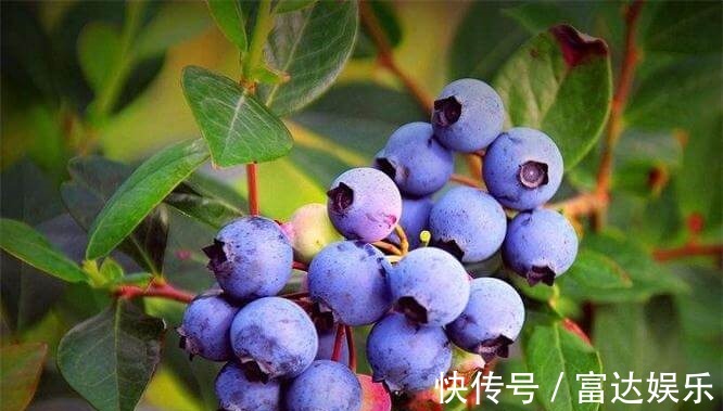 皱纹|冬季来了,不妨多吃四种食物,美化肌肤,去除皱纹、抗衰老