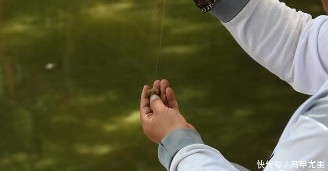 子线长度有多讲究?相差10厘米钓获可能少一半,看老钓手的分享