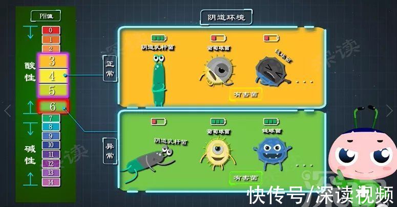 病原體|性生活過頻、人流手術會引發盆腔炎？生活中哪些事易招惹盆腔炎？