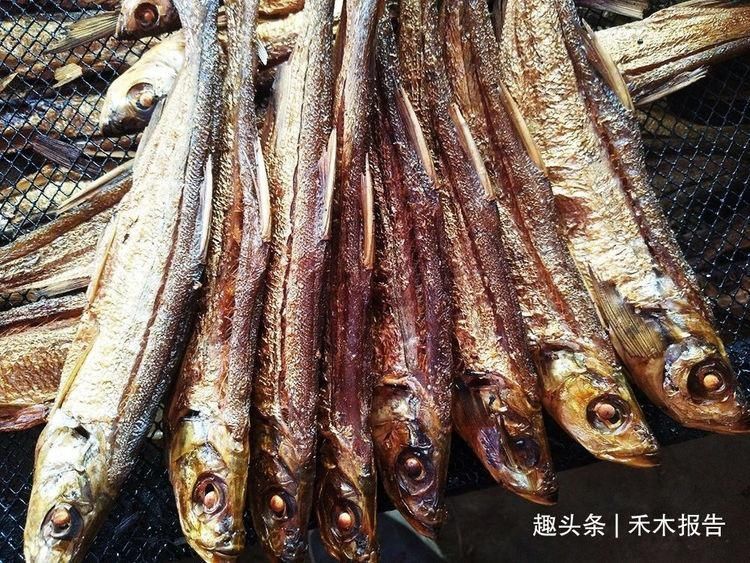 野生|过去被称为“水中一害”,离水即死很难养活,如今晒干30元一斤