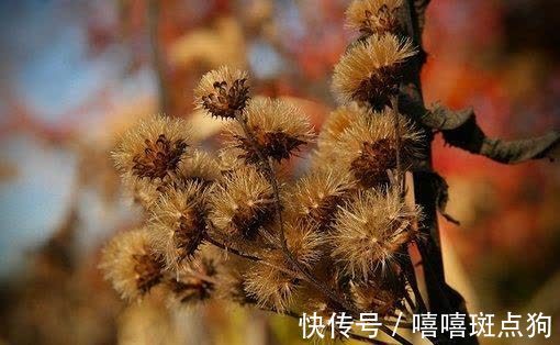 复合|上周结束，旧爱强势，旧爱复合，旧爱回眸，喜鹊登门，携手到白头