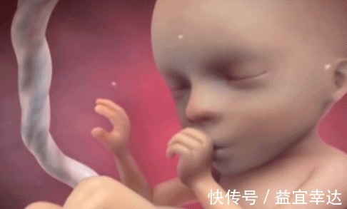胎儿|除了睡觉,胎儿如何每天在肚子里都干啥宝宝小日子开心到飞起