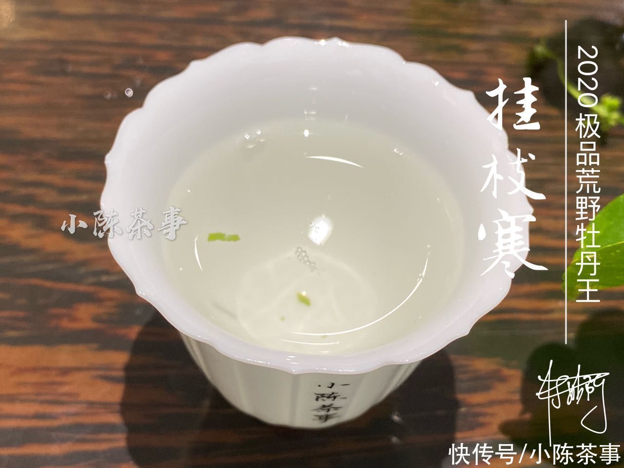 茶梗|谷雨白牡丹、小雪牡丹、巧克力味白茶，听着高大上，实是劣质品