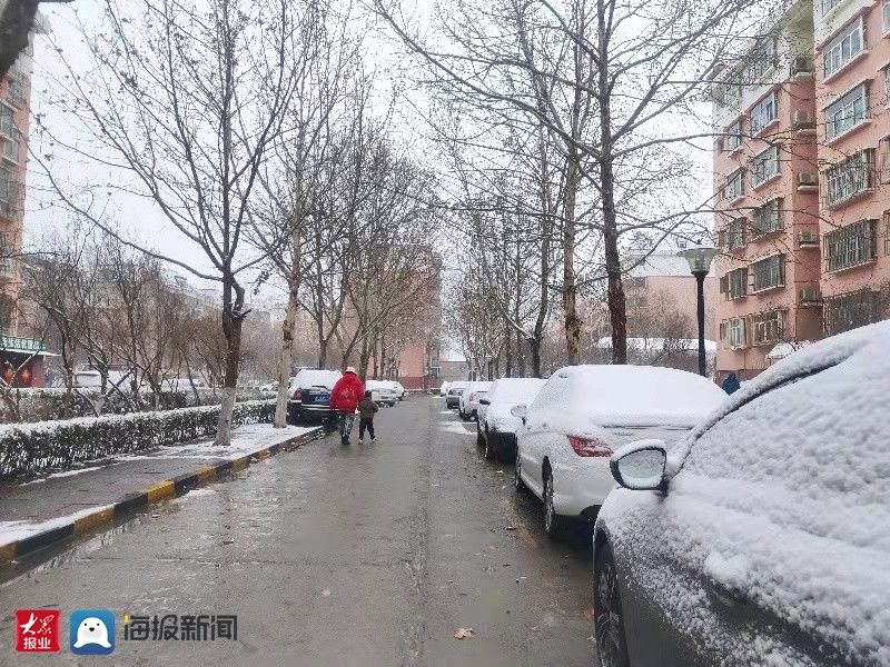 樱桃花|春雪润淄博，仙境落人间，一起赏雪吧！