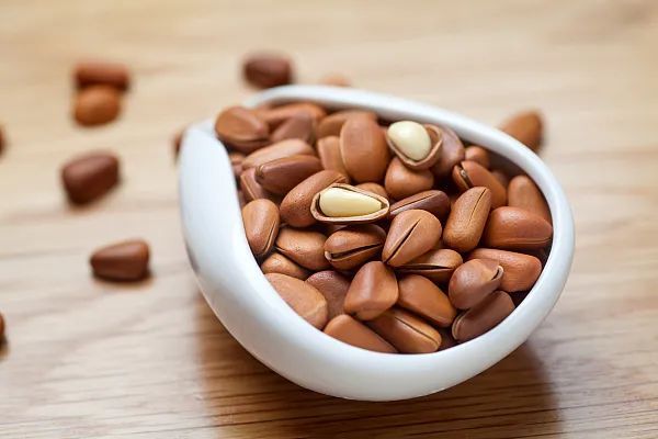 松子仁|你不知道的养生秘诀！