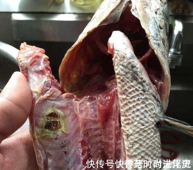 家用电冰箱|这3种食物不要放冰箱,放冰箱坏得更快,特别是第3种,很多人放过