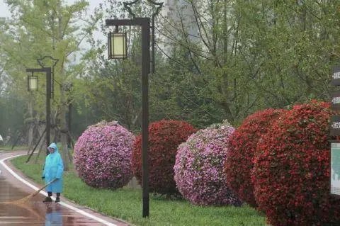 开园|今日开园!占地超60万平米!惠及20万居民!朝阳又添一座巨型生态公园!