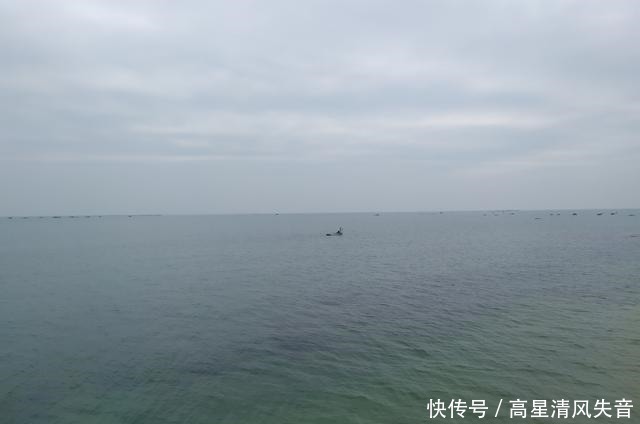 金海湾红树林几月最红