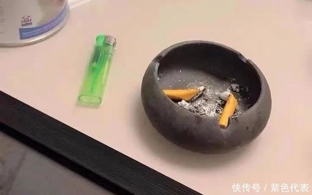 家里养花,4种自制“杀虫水”喷一喷,虫子杀光光,花儿越养越旺