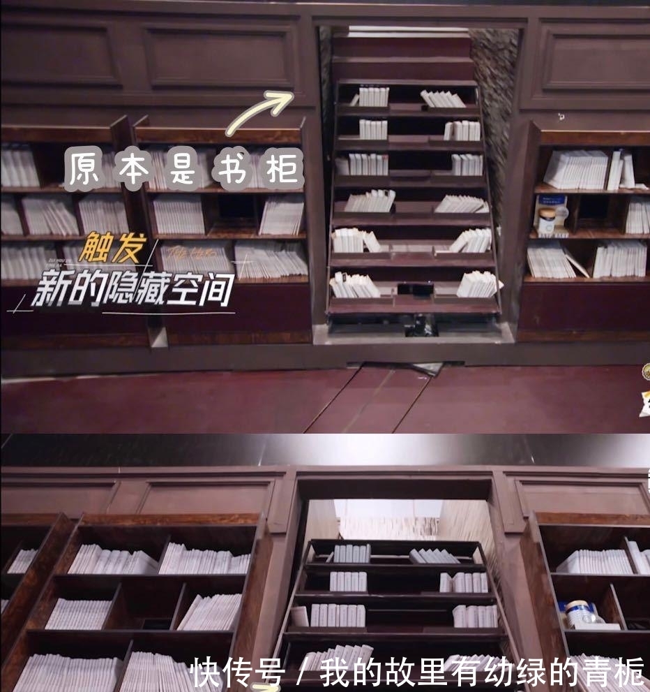 节目|《最后的赢家》凭嘉宾阵容出圈，众星集结，关晓彤和两大男神同框