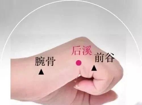 合谷穴|身上自带4个血压调节器，没事按一按，轻松调血压！