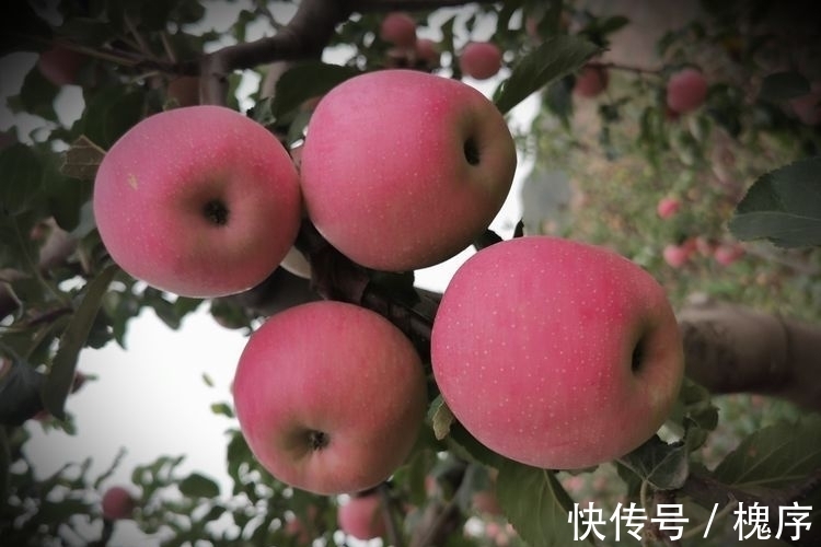 五言律诗&吟诗明月下,旅游暖阳中(诗词七首)