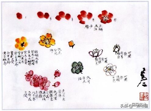 花头$图文教程——怎样画梅