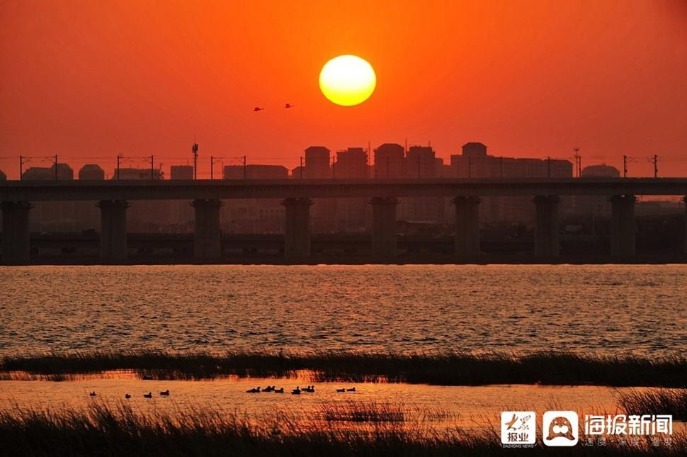 景色|青岛：实拍滨海湿地落日景色