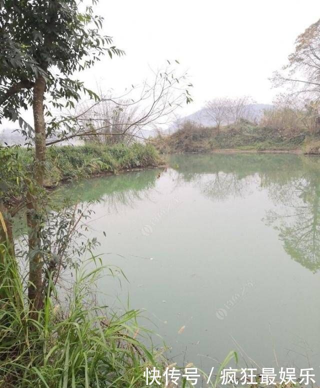 钓鲫鱼方法和窝料制作方法,自己研制的饵料,一般人我不告诉他